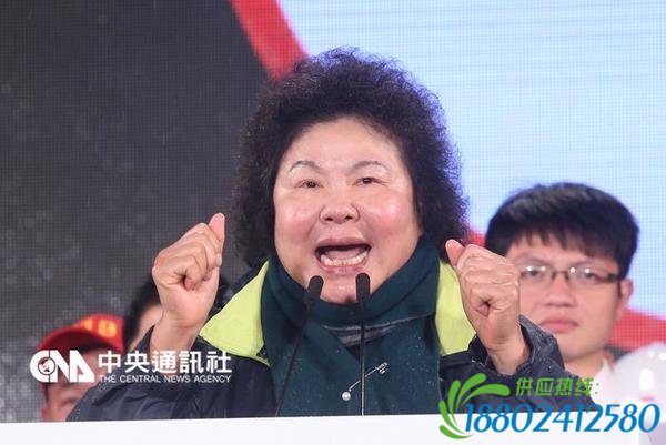 高雄市长陈菊呼吁马英九特赦陈水扁(图片来源：“中央社”)