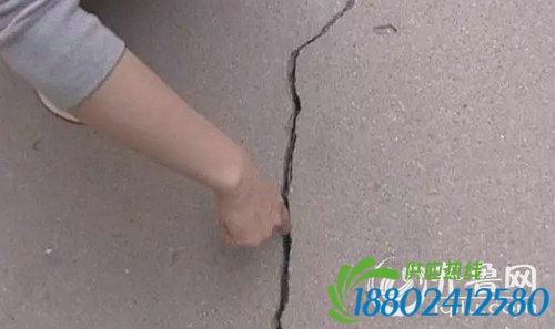 居民告诉记者，马路上一指宽的裂缝，就是这两天震出来的。