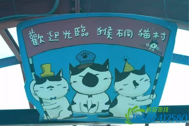 台灣最不可錯過的十條文藝清新鐵路