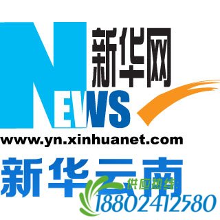 货车高速侧翻哄抢菠萝 大叔就地啃称丢掉可惜
