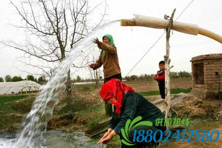 水利部摸底地下水资源：80%不能饮用