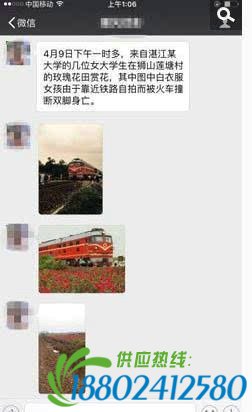 19岁少女在佛山花海自拍时被火车撞亡