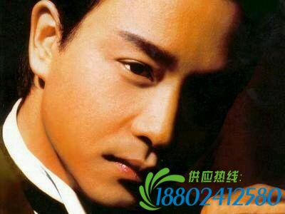 张国荣 　　1956年9月12日生于香港，歌手、演员、音乐人，演艺圈影视歌多栖发展的代表之一。 　　主要作品: 霸王别姬 阿飞正传 东邪西毒 沉默是金 倩女幽魂 风继续吹 　　死亡时间:2003年4月1日晚上18点43分 　　死亡原因: 抑郁症 　　病情失控从香港东方文华酒店24楼坠下，于 　　19时06分在玛丽医院抢救无效去世，终年 　　46岁。在坠楼前，他在写下的纸条中说： 　　“Depression，多谢各位朋友，多谢麦列菲菲教授。这一年来很辛苦，不能再忍受，多谢唐先生，多谢家人，多谢肥姐。我一生没做坏事，为何这样？