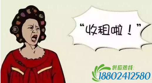 深圳小学生谈理想：想当一个房东收租！