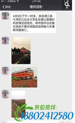 少女花海自拍撞亡