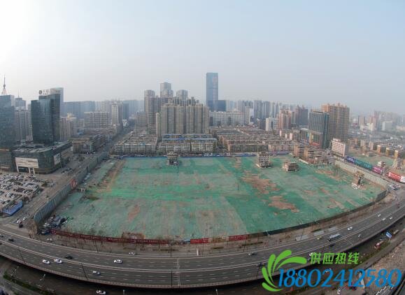 p50-2016 年4 月，经过持续攻坚，亲贤社区西北片区的拆迁工作基本告一段落，但在铺设了防尘绿网的空地中，至今仍有3 户居民选择了“坚守”。(拍摄2016年4月4日)