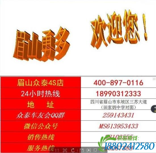 【这样加油能省200大洋我后悔知道的太晚