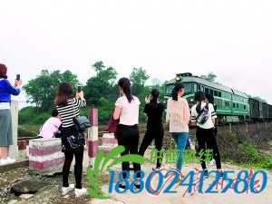 女生拍火车被撞亡 出事路口仍有游客留连拍照