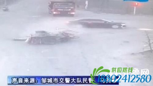 三轮车闯红灯被轿车撞飞，司机从车内甩出。