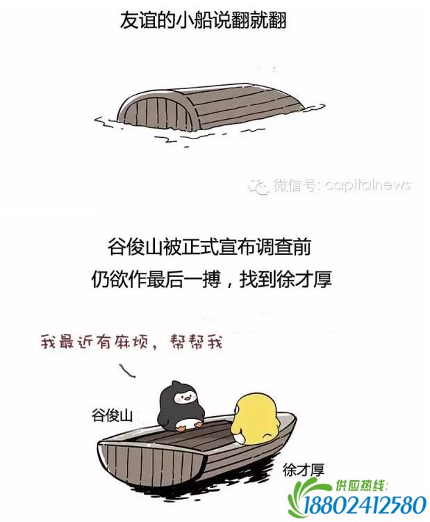 看图：郭伯雄徐才厚友谊的小船是怎样说翻就翻