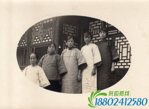 民国师生恋后果严重：北大教授因恋校花被迫引