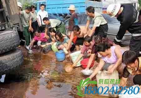 油罐车侧翻致车载食用油外泄 近百人哄抢图