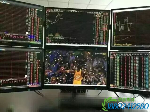 缩量十字星释放两大信号 据说今天主力是这样看