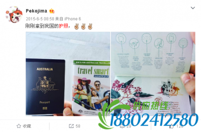吴维于2015年5月拿到澳洲身份，6月拿到澳洲护照