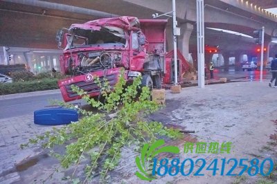 两货车剧烈相撞致三人受伤