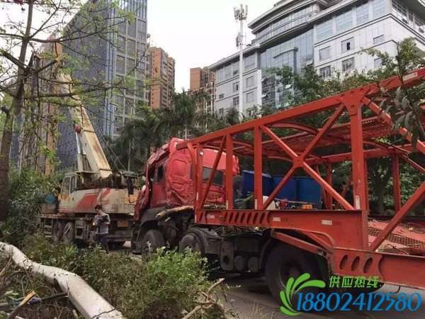 突发！今早南宁交通大瘫痪?竟是竹溪大道货车与环卫车相撞