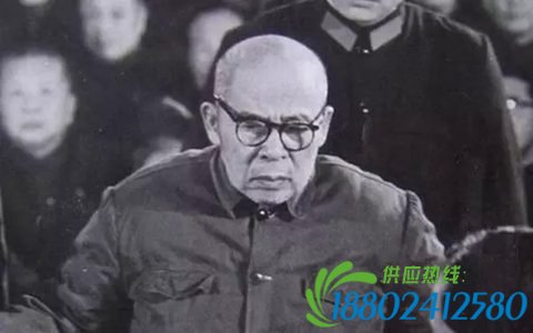 陈伯达邓力群恩怨：陈赴干校视察专门问邓力群