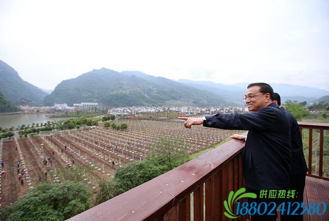 李克强考察震后重建芦山二中：要建最坚固校舍