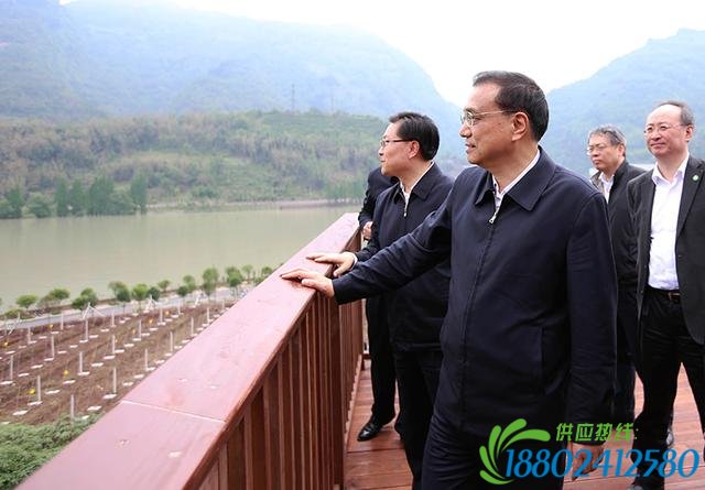 李克强考察震后重建芦山二中：要建最坚固校舍