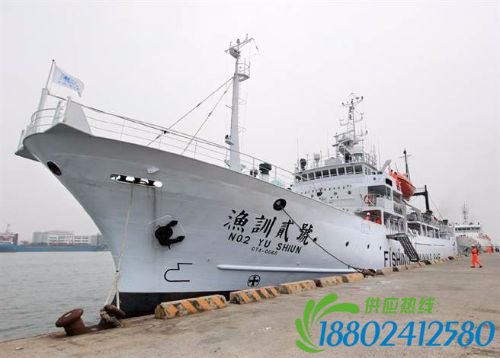 台舰冲之鸟礁护渔与日舰对峙(图)