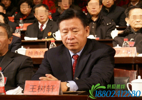 王树轩