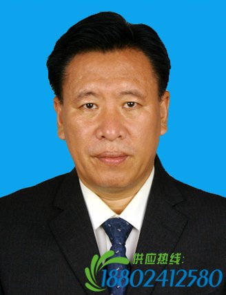 辽宁朝阳市原人大主任王树轩坠河溺亡 今年刚辞