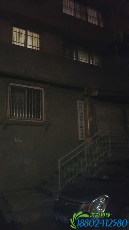 厅官降处级 巡视回马枪后自杀
