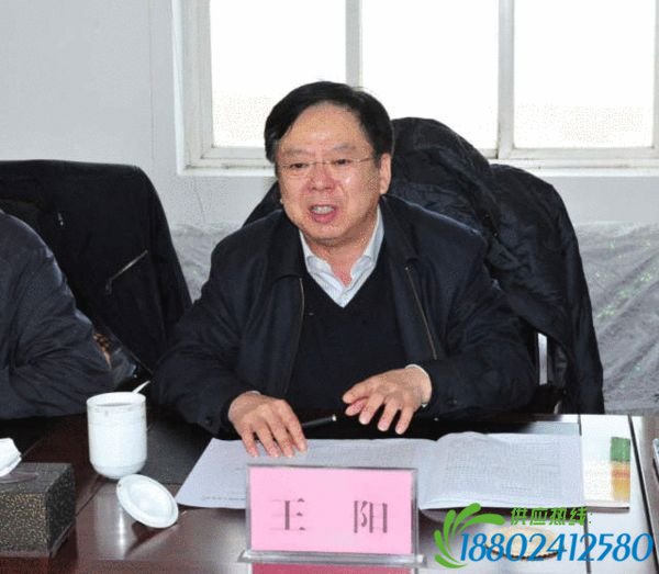 洛阳原书记陈雪枫 辽宁人大原副主任王阳被双开