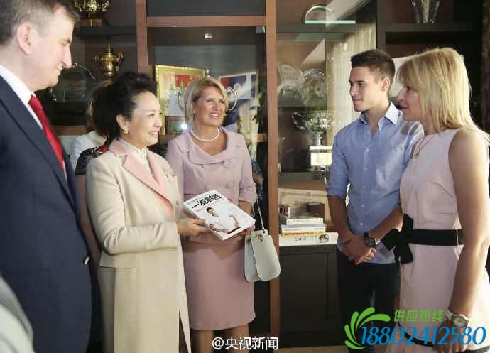 塞尔维亚总统夫人告诉彭丽媛一个“小秘密”(图