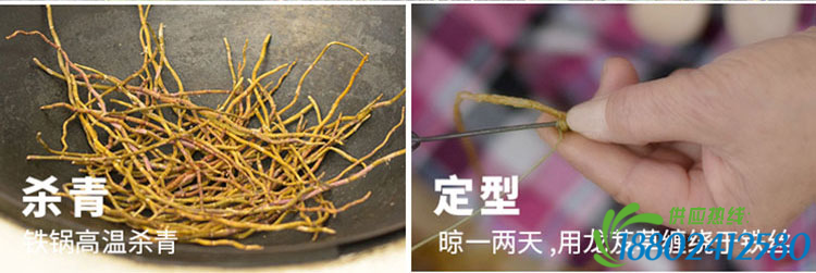 石斛粉功能
