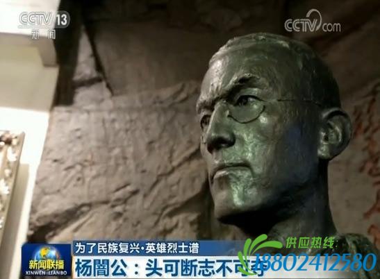 【为了民族复兴・英雄烈士谱】杨�公：头可断