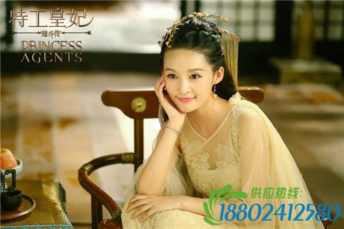 《楚乔传》人物关系图大结局剧透：楚乔和宇文�h还是燕洵在一起...