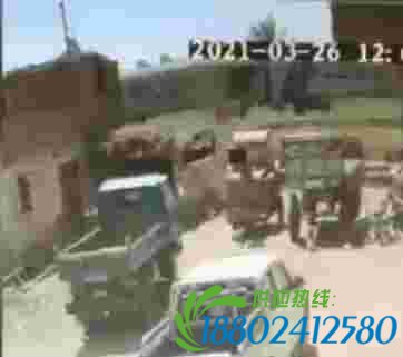 埃及两列火车相撞瞬间监控视频曝光:伤亡人数已超200
