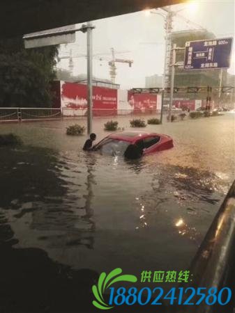大雨中奶奶欲背孙女�水回家 城管见状立即开车