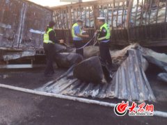 济青高速20多油罐爆炸? 实为货车所载油桶起火