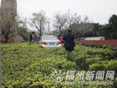油罐车撞上轿车 轿车被迫“踏青”幸无人员受伤