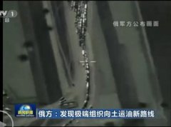 俄称发现极端组织向土运油新路线：有上万油罐
