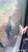 佳木斯一男子在铁道线上与火车相撞身亡(图)