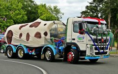 过节也要拼“颜值” 节日卡车盛装盘点