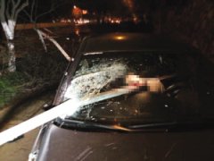 红山路一宝马车发生车祸 司机面部惨遭护栏穿透