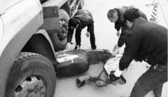 郑州一电动车与油罐车发生碰撞 一对父女被碾身亡