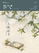 郴州火车相撞与铁路的安全链（2009年，6月）