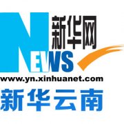 货车高速侧翻哄抢菠萝 大叔就地啃称丢掉可惜